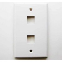 RJ45 Wall Plate 2 Space White Network Connector